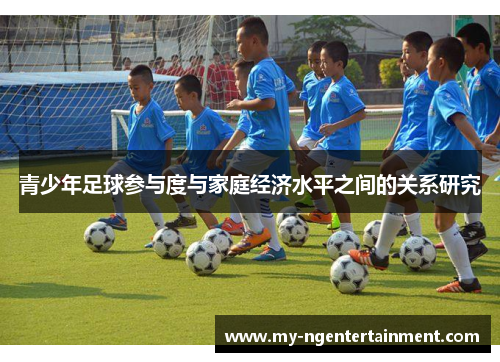 青少年足球参与度与家庭经济水平之间的关系研究 青少年足球参与度与家庭经济水平之间的关系研究