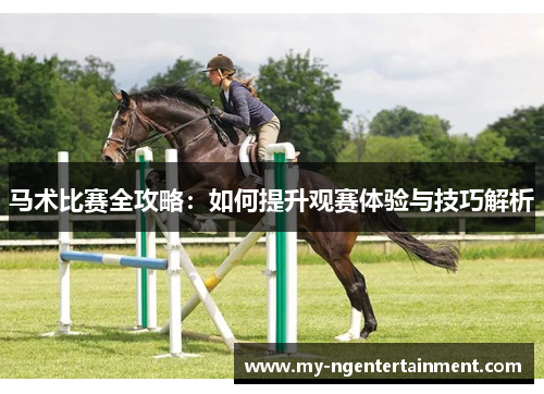 马术比赛全攻略：如何提升观赛体验与技巧解析
